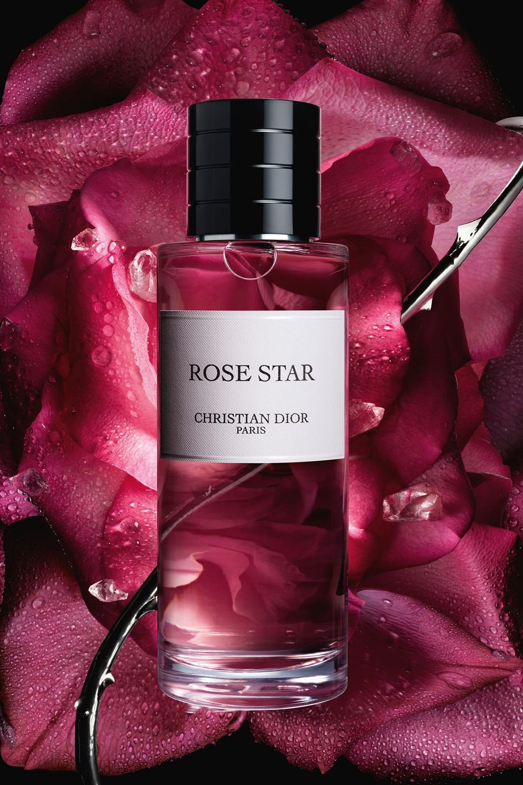 ROSE STAR